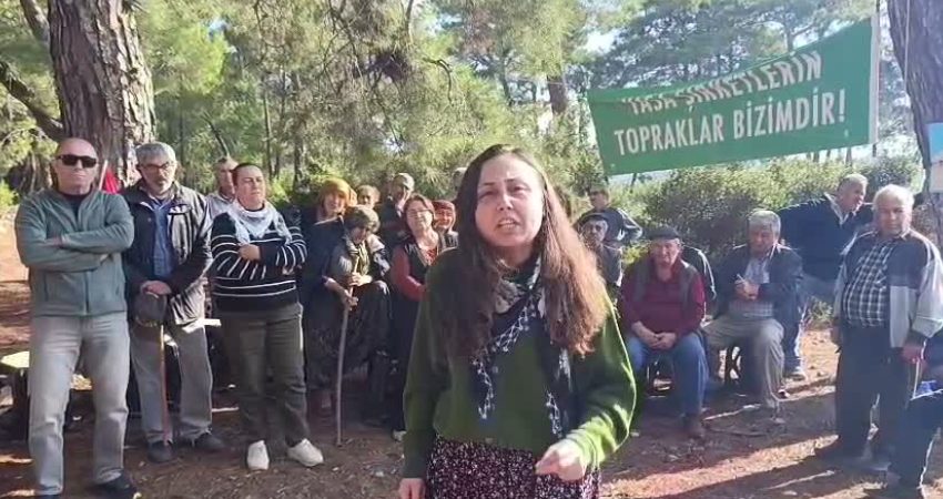 Muğla’da Yeniköy-Kemerköy Termik Santralları’nın kömür sahasını genişletmek amacıyla Akbelen Ormanı