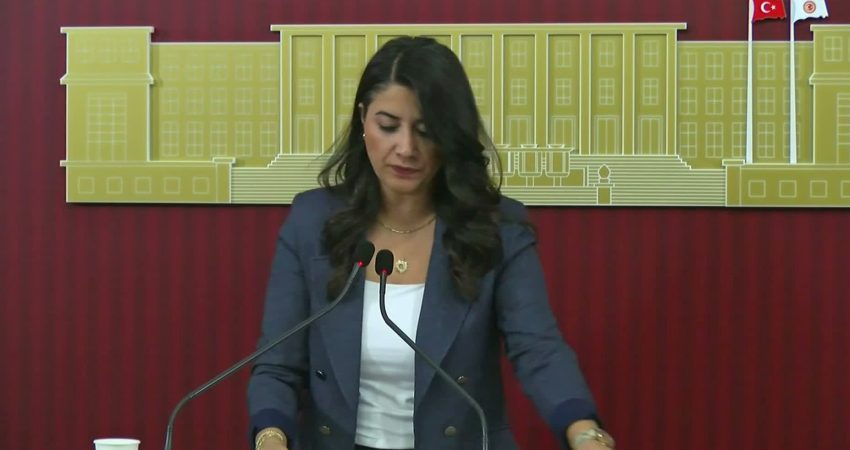 DEM Parti Şanlıurfa Milletvekili Dilan Kunt Ayan, kadınların nafaka hakkına