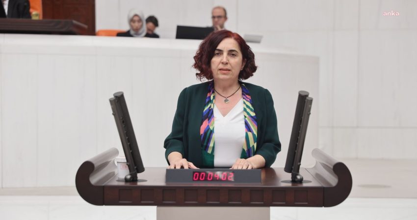 DEM Parti Diyarbakır Milletvekili Sevilay Çelenk, "Afganistan'da zorla tutulduğu ve
