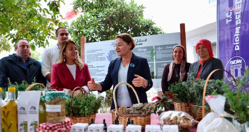 Didim Belediyesi tarafından "Topraktan Geleceğe: Üreten Didim" temasıyla Akyeniköy'de düzenlenen