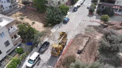 Didim Belediyesi'nin yapımını sürdürdüğü Kaykay Parkı alanında kalan iki ağaç,