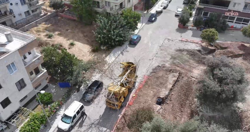 Didim’de Kaykay Parkı yapılıyor, ağaçlar korunuyor: İki ağaç başka bir alana taşındı Didim Belediyesi'nin yapımını sürdürdüğü Kaykay Parkı alanında kalan iki ağaç,
