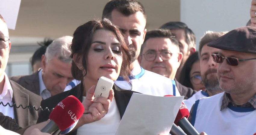 Diş Hekimliği Sendikası Kurucu Başkanı Banu Yıldırım, "Devlet tarafından finanse