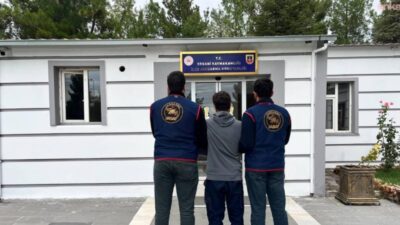 Diyarbakır İl Jandarma Komutanlığı tarafından haklarında yakalama emri bulunan kişilere