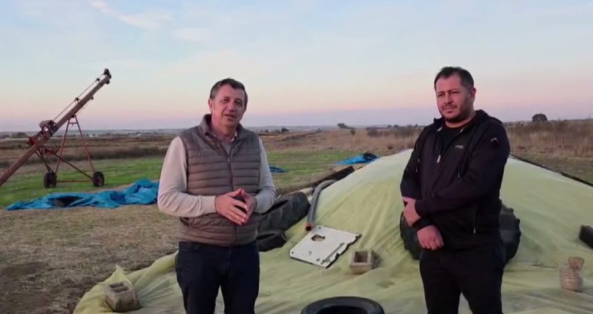 Edirne’nin Uzunköprü İlçesine bağlı Salarlı Köyü’nde çiftçi Ömer Öztürk, çeltik