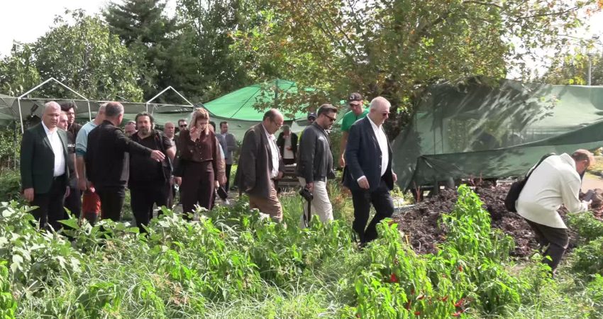 Edremit Belediyesi, ata tohumlarını geleceğe taşıyor: 137 çeşit koruma altında Edremit Belediyesi, Çıkrıkçı Mahallesi’ndeki Fidanlık ve Ata Tohumu Üretim Merkezi’nde