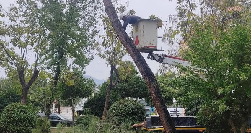 Efeler Belediyesi, yağışlı ve fırtınalı havanın oluşturabileceği risklere karşı park