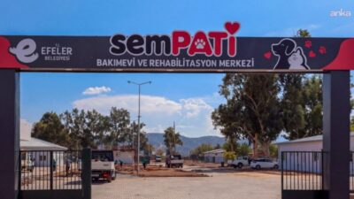 Efeler Belediyesi’nin sokak hayvanlarının bakım, tedavi ve rehabilitasyon ihtiyaçlarını karşılamak