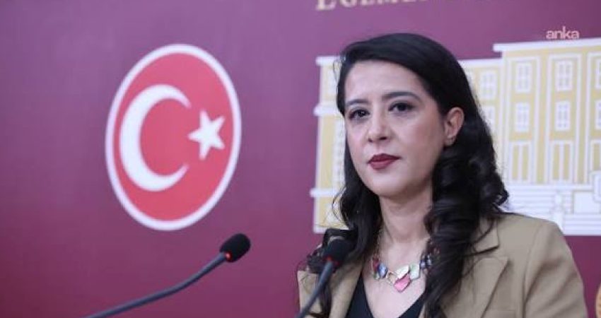 EMEP Gaziantep Milletvekili Sevda Karaca, gazeteciler Murat Ağırel ile Bahadır