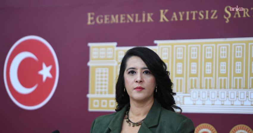 EMEP Gaziantep Milletvekili Sevda Karaca, Gaziantep Üniversitesi ve Şahinbey Araştırma ve