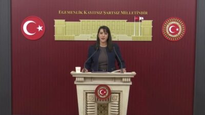 Emek Partisi (EMEP) Gaziantep Milletvekili Sevda Karaca, fon krizine ilişkin