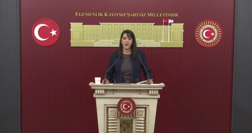 Emek Partisi (EMEP) Gaziantep Milletvekili Sevda Karaca, fon krizine ilişkin