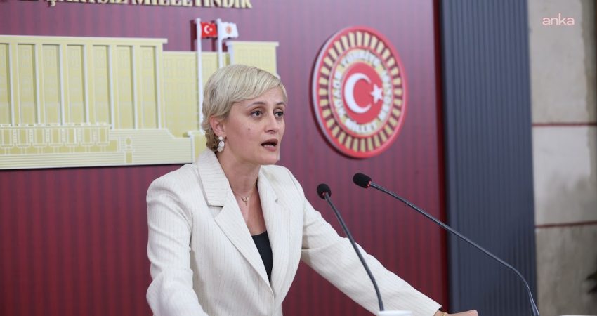DEM Parti Mersin Milletvekili Perihan Koca, Halk TV’ye kayyım atanmasına