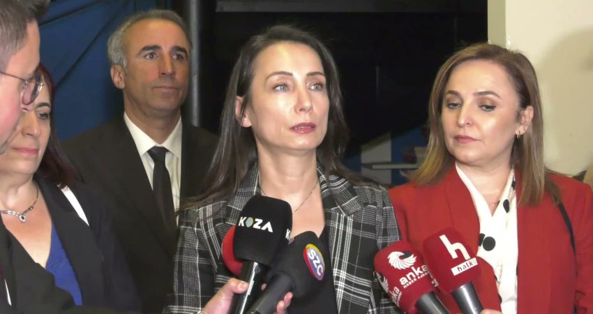 DEM Parti Eş Genel Başkanı Tülay Hatimoğulları, kayyum atanan Halk