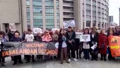 Avukatın Sesi İnisiyatifi’nin çağrısıyla hayvanlara yönelik şiddet ve hayvan hakları