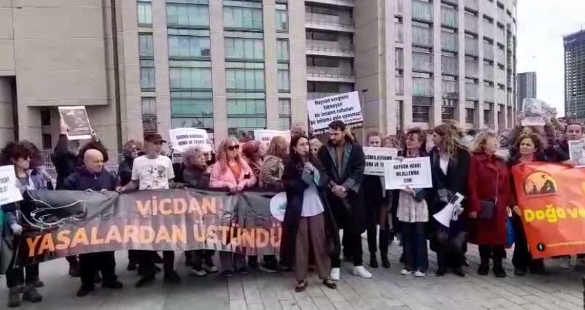 Avukatın Sesi İnisiyatifi’nin çağrısıyla hayvanlara yönelik şiddet ve hayvan hakları