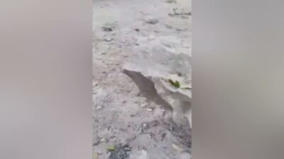 Artvin’in Hopa ilçesinde Karadeniz Sahil Yolu üzerindeki Esenkıyı Tır Parkı’nda