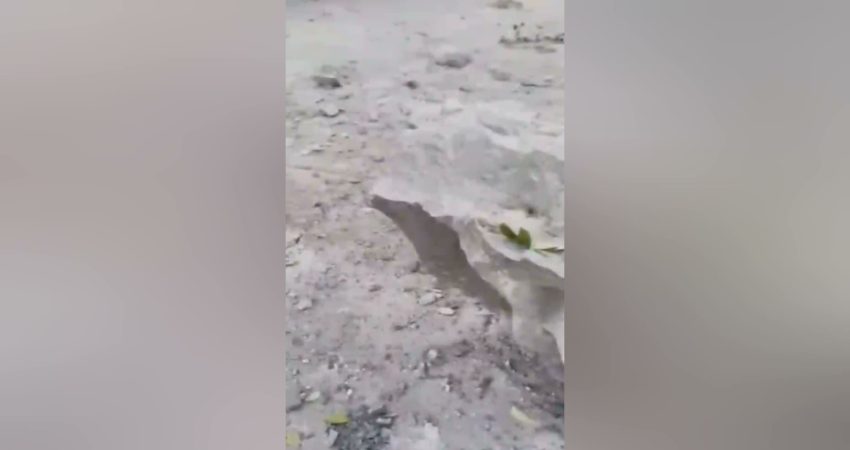 Artvin’in Hopa ilçesinde Karadeniz Sahil Yolu üzerindeki Esenkıyı Tır Parkı’nda
