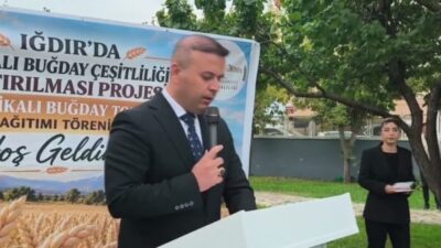 Iğdır’da tarımsal üretimin geliştirilmesi amacıyla hazırlanan “Iğdır’da Sertifikalı Buğday Çeşitliliğinin
