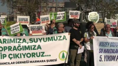 TMMOB, Kuzey Ormanları Savunması, Türkiye Ormancılar Derneği ve Polen Ekoloji