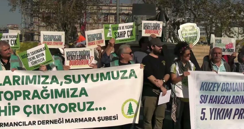 TMMOB, Kuzey Ormanları Savunması, Türkiye Ormancılar Derneği ve Polen Ekoloji