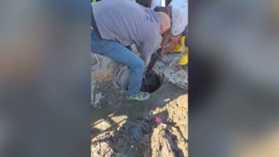 İBB'nin bağlı kuruluşu İSKİ, Pendik’te meydana gelen kanal tıkanıklığı ihbarına