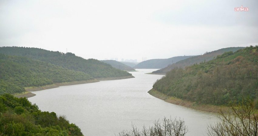 Hava sıcaklığının 25 derecelere çıktığı pazar günü yüzde 37,90'a kadar