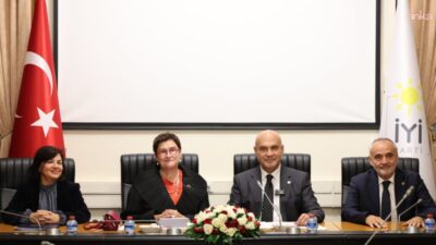 İYİ Parti Grup Başkanvekili Turhan Çömez, Avrupa Konseyi Parlamenter Meclisi
