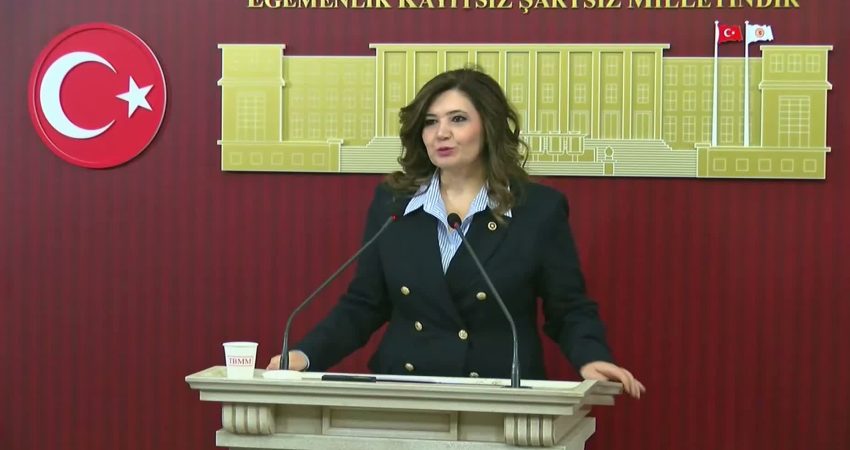 İYİ Parti Tekirdağ Milletvekili Selcan Taşcı, gazetecilere yönelik tutuklamaların hem