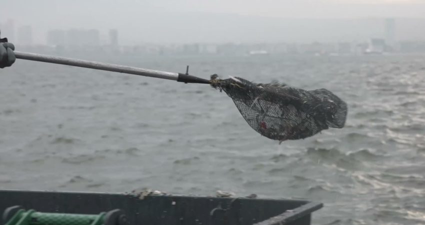 İzmir Körfezi’nden yılda ortalama “bin 500 ton atık” çıkarılıyor İzmir Büyükşehir Belediyesi, yağışların ardından dereler ve yağmur sularıyla birlikte