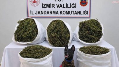 İzmir'in Tire ilçesinde jandarmanın arama yaptığı alanda 54 kilo 800