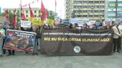 İzmir'de yaşam hakkı savunucuları, Ege Üniversitesi'nde öğrencilerin bakımını üstlendiği yaklaşık