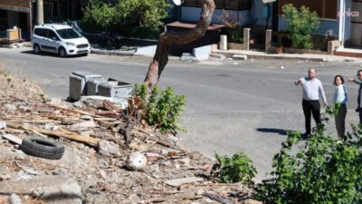 Karabağlar Belediyesi, ilçede çevre ve halk sağlığını tehdit eden sahipsiz