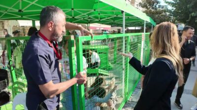Konak Belediyesi’nin, "satın almayıp sahiplenmenin" önemine vurgu yaptığı Patilerin Festivali,