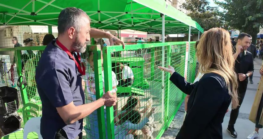 Konak Belediyesi’nin, "satın almayıp sahiplenmenin" önemine vurgu yaptığı Patilerin Festivali,