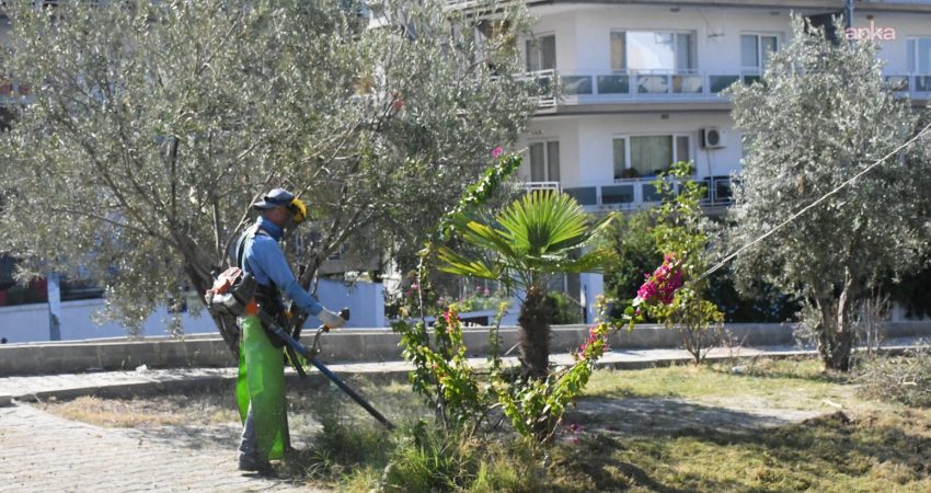 Kuşadası Belediyesi tarafından yürütülen çalışmalar kapsamında ilçenin parkları, yeşil alanları,
