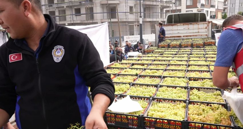 Manisa'nın Sarıgöl ilçesinde üzüm üreticileri, vatandaşlara 1 tır üzüm dağıtarak