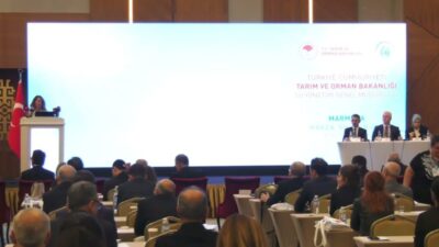 Marmara'da geçen hafta 5 gün aralıklarla devam eden şiddetli yağış
