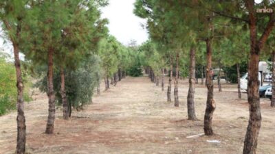 Merkezefendi Belediyesi, Şemikler Mahallesi’nde hayata geçireceği yürüyüş parkıyla ilçeye yeni