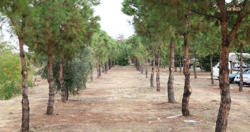 Merkezefendi Belediyesi, Şemikler Mahallesi’nde hayata geçireceği yürüyüş parkıyla ilçeye yeni