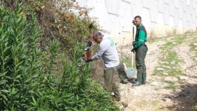 Mersin Büyükşehir Belediyesi, halk sağlığını korumak amacıyla 13 ilçede 134