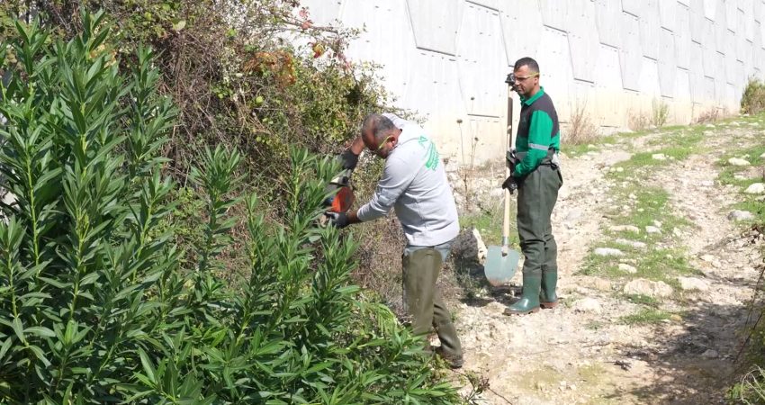 Mersin Büyükşehir Belediyesi’nden 13 ilçede 134 araç ve 505 personelle ilaçlama çalışması Mersin Büyükşehir Belediyesi, halk sağlığını korumak amacıyla 13 ilçede 134