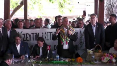 YENİ Parti Genel Başkanı Özgür Özel, Balıkesir’in Edremit ilçesinde zeytin
