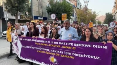 Van'da 27 Eylül 2024'te kaybolan, 18 gün sonra göl kıyısında