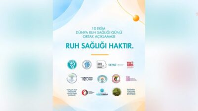 Türkiye Psikiyatri Derneği, Türk Tabipleri Birliği ve ruh sağlığı alanındaki