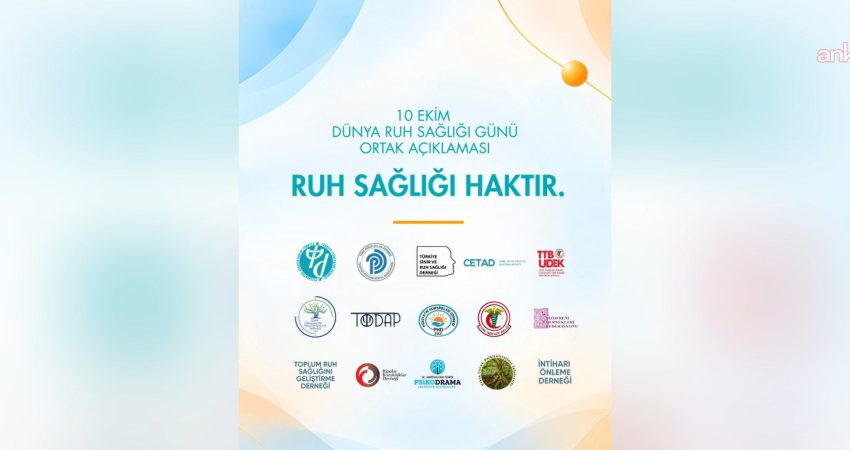 Türkiye Psikiyatri Derneği, Türk Tabipleri Birliği ve ruh sağlığı alanındaki