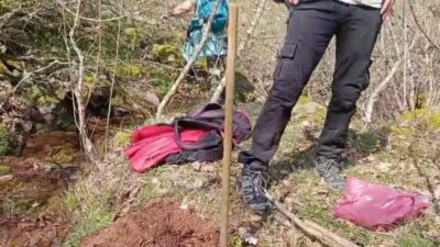 Türkiye Gazeteciler Cemiyeti (TGC), Türkiye Yayıncılar Birliği, Türkiye Gazeteciler Sendikası,