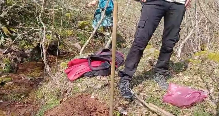 Türkiye Gazeteciler Cemiyeti (TGC), Türkiye Yayıncılar Birliği, Türkiye Gazeteciler Sendikası,