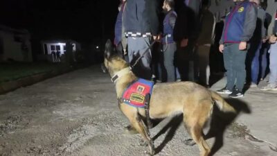 İçişleri Bakanlığı'ndan yapılan açıklamada, Şanlıurfa’da uyuşturucu madde satıcılarına yönelik Jandarma tarafından