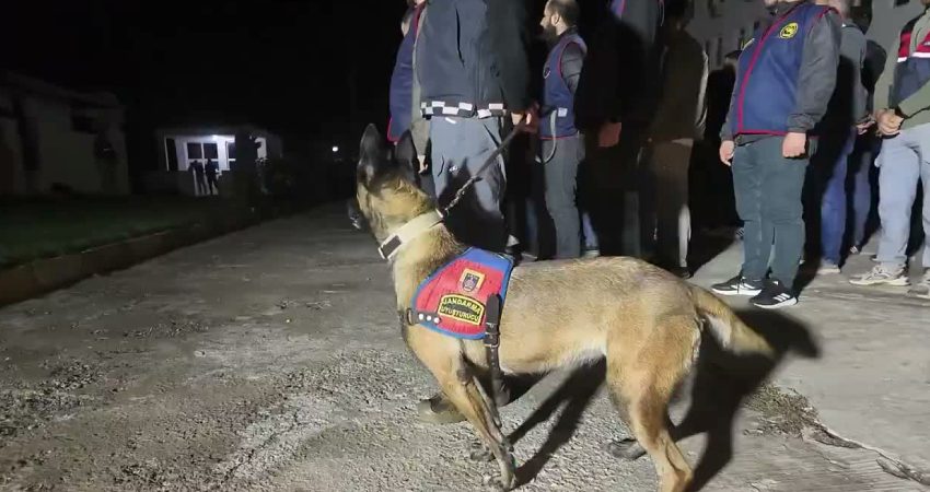 İçişleri Bakanlığı'ndan yapılan açıklamada, Şanlıurfa’da uyuşturucu madde satıcılarına yönelik Jandarma tarafından